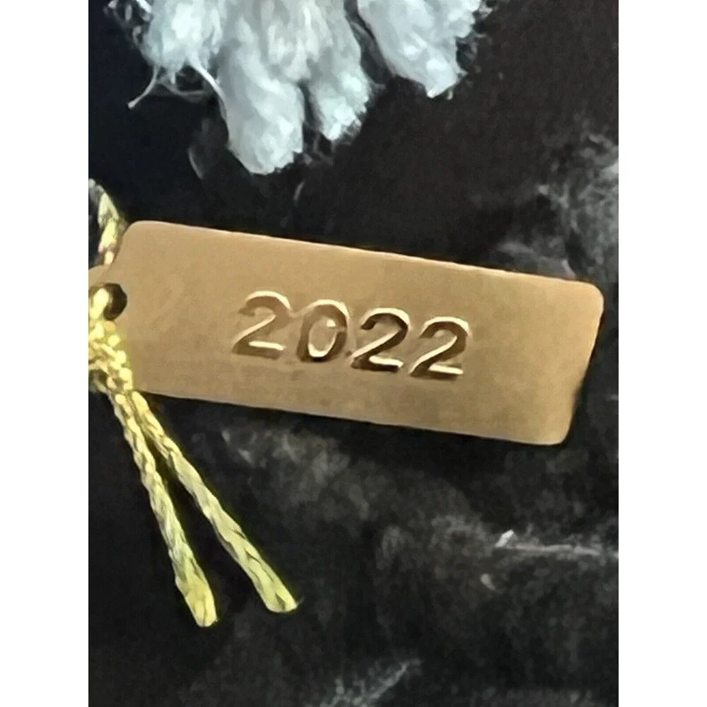 Target (Hyde & EEK) 2022 Featherly Friends WITCH BIRD Laspell Halloween Decor